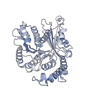 29685_8g2z_BG_v1-0
48-nm doublet microtubule from Tetrahymena thermophila strain CU428