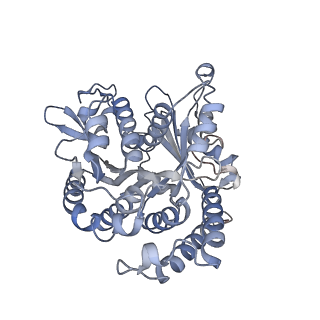 29685_8g2z_BH_v1-0
48-nm doublet microtubule from Tetrahymena thermophila strain CU428