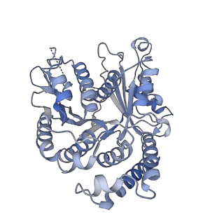 29685_8g2z_BI_v1-0
48-nm doublet microtubule from Tetrahymena thermophila strain CU428