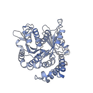29685_8g2z_BJ_v1-0
48-nm doublet microtubule from Tetrahymena thermophila strain CU428
