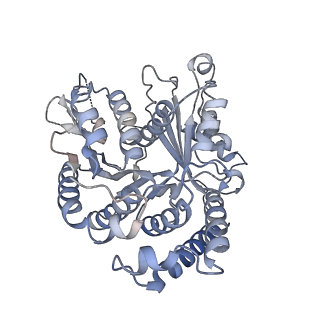 29685_8g2z_BK_v1-0
48-nm doublet microtubule from Tetrahymena thermophila strain CU428