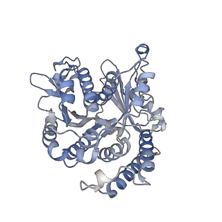 29685_8g2z_BL_v1-0
48-nm doublet microtubule from Tetrahymena thermophila strain CU428