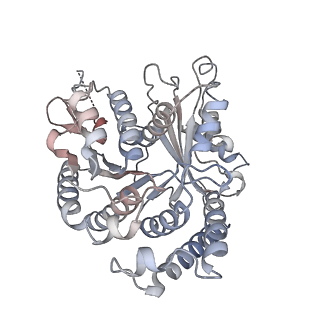 29685_8g2z_BM_v1-0
48-nm doublet microtubule from Tetrahymena thermophila strain CU428