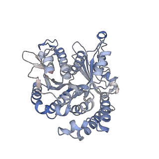 29685_8g2z_BN_v1-0
48-nm doublet microtubule from Tetrahymena thermophila strain CU428