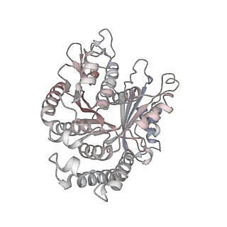 29685_8g2z_CA_v1-0
48-nm doublet microtubule from Tetrahymena thermophila strain CU428