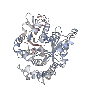 29685_8g2z_CB_v1-0
48-nm doublet microtubule from Tetrahymena thermophila strain CU428
