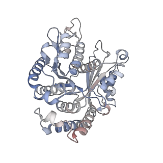 29685_8g2z_CC_v1-0
48-nm doublet microtubule from Tetrahymena thermophila strain CU428