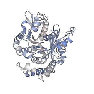 29685_8g2z_CD_v1-0
48-nm doublet microtubule from Tetrahymena thermophila strain CU428