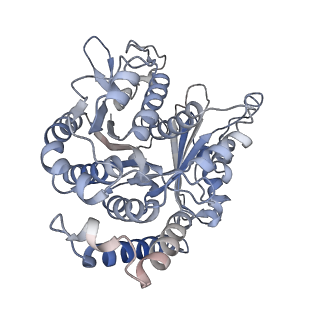 29685_8g2z_CF_v1-0
48-nm doublet microtubule from Tetrahymena thermophila strain CU428