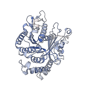 29685_8g2z_CG_v1-0
48-nm doublet microtubule from Tetrahymena thermophila strain CU428