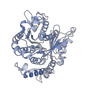 29685_8g2z_CH_v1-0
48-nm doublet microtubule from Tetrahymena thermophila strain CU428