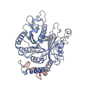 29685_8g2z_CI_v1-0
48-nm doublet microtubule from Tetrahymena thermophila strain CU428
