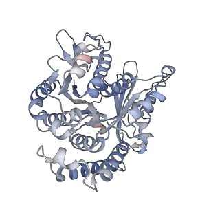 29685_8g2z_CJ_v1-0
48-nm doublet microtubule from Tetrahymena thermophila strain CU428