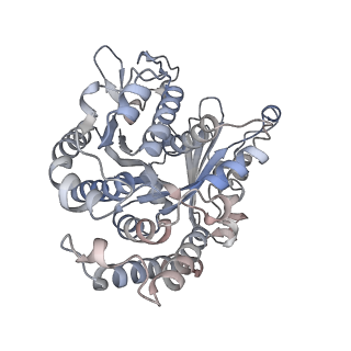 29685_8g2z_CL_v1-0
48-nm doublet microtubule from Tetrahymena thermophila strain CU428