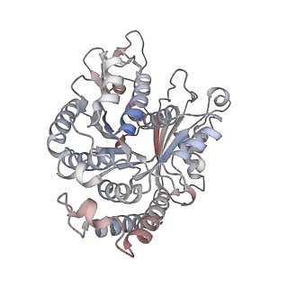 29685_8g2z_CM_v1-0
48-nm doublet microtubule from Tetrahymena thermophila strain CU428