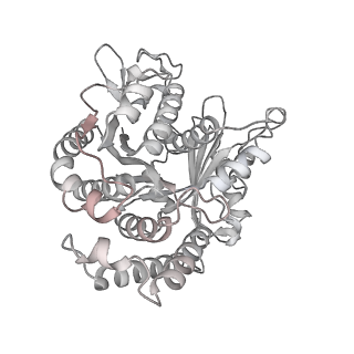 29685_8g2z_CN_v1-0
48-nm doublet microtubule from Tetrahymena thermophila strain CU428