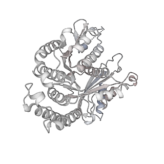 29685_8g2z_DA_v1-0
48-nm doublet microtubule from Tetrahymena thermophila strain CU428