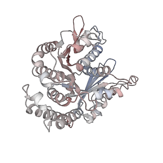 29685_8g2z_DB_v1-0
48-nm doublet microtubule from Tetrahymena thermophila strain CU428