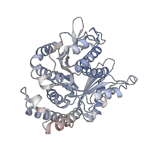 29685_8g2z_DD_v1-0
48-nm doublet microtubule from Tetrahymena thermophila strain CU428