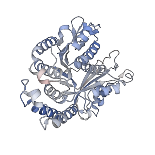 29685_8g2z_DE_v1-0
48-nm doublet microtubule from Tetrahymena thermophila strain CU428