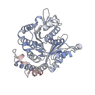 29685_8g2z_DF_v1-0
48-nm doublet microtubule from Tetrahymena thermophila strain CU428