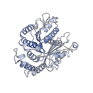 29685_8g2z_DG_v1-0
48-nm doublet microtubule from Tetrahymena thermophila strain CU428