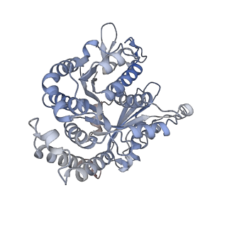 29685_8g2z_DJ_v1-0
48-nm doublet microtubule from Tetrahymena thermophila strain CU428