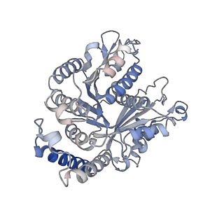 29685_8g2z_DK_v1-0
48-nm doublet microtubule from Tetrahymena thermophila strain CU428