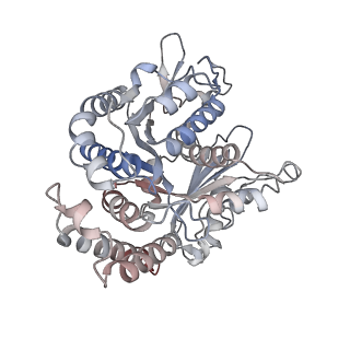 29685_8g2z_DL_v1-0
48-nm doublet microtubule from Tetrahymena thermophila strain CU428