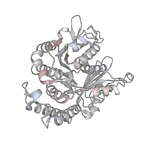 29685_8g2z_DN_v1-0
48-nm doublet microtubule from Tetrahymena thermophila strain CU428