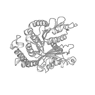 29685_8g2z_EA_v1-0
48-nm doublet microtubule from Tetrahymena thermophila strain CU428