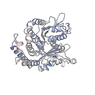 29685_8g2z_ED_v1-0
48-nm doublet microtubule from Tetrahymena thermophila strain CU428