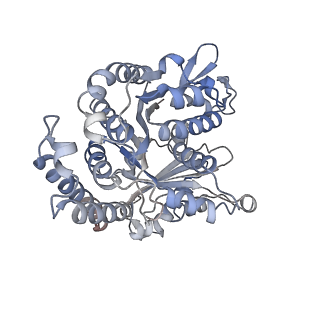 29685_8g2z_EF_v1-0
48-nm doublet microtubule from Tetrahymena thermophila strain CU428