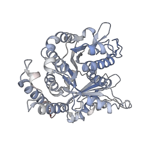 29685_8g2z_EH_v1-0
48-nm doublet microtubule from Tetrahymena thermophila strain CU428