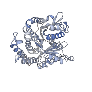 29685_8g2z_EJ_v1-0
48-nm doublet microtubule from Tetrahymena thermophila strain CU428