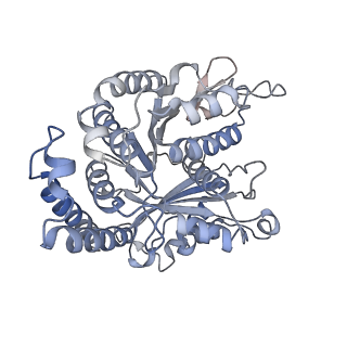 29685_8g2z_EK_v1-0
48-nm doublet microtubule from Tetrahymena thermophila strain CU428
