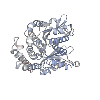 29685_8g2z_EL_v1-0
48-nm doublet microtubule from Tetrahymena thermophila strain CU428