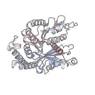 29685_8g2z_EM_v1-0
48-nm doublet microtubule from Tetrahymena thermophila strain CU428