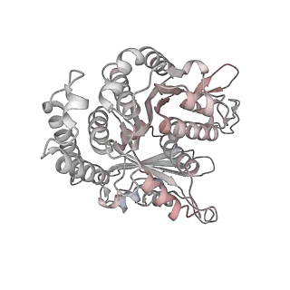29685_8g2z_FB_v1-0
48-nm doublet microtubule from Tetrahymena thermophila strain CU428