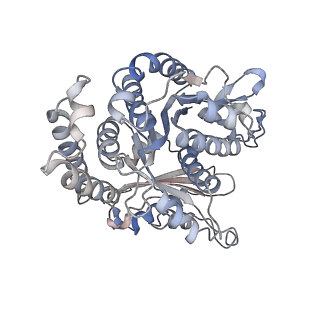 29685_8g2z_FD_v1-0
48-nm doublet microtubule from Tetrahymena thermophila strain CU428