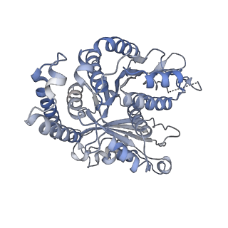 29685_8g2z_FE_v1-0
48-nm doublet microtubule from Tetrahymena thermophila strain CU428