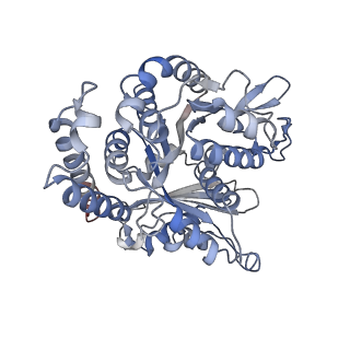29685_8g2z_FF_v1-0
48-nm doublet microtubule from Tetrahymena thermophila strain CU428