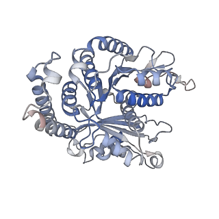 29685_8g2z_FG_v1-0
48-nm doublet microtubule from Tetrahymena thermophila strain CU428