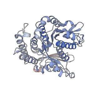 29685_8g2z_FH_v1-0
48-nm doublet microtubule from Tetrahymena thermophila strain CU428