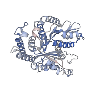 29685_8g2z_FI_v1-0
48-nm doublet microtubule from Tetrahymena thermophila strain CU428