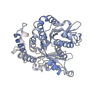 29685_8g2z_FJ_v1-0
48-nm doublet microtubule from Tetrahymena thermophila strain CU428