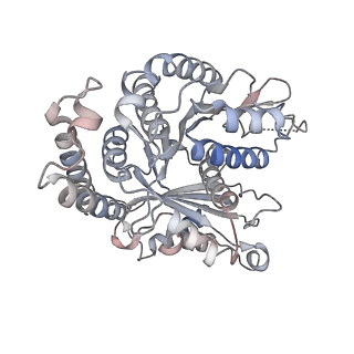 29685_8g2z_FK_v1-0
48-nm doublet microtubule from Tetrahymena thermophila strain CU428