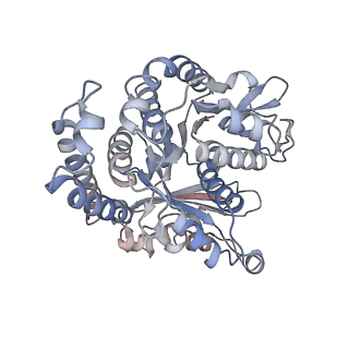 29685_8g2z_FL_v1-0
48-nm doublet microtubule from Tetrahymena thermophila strain CU428