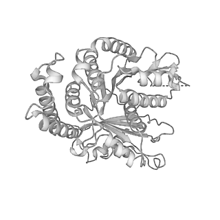 29685_8g2z_FM_v1-0
48-nm doublet microtubule from Tetrahymena thermophila strain CU428