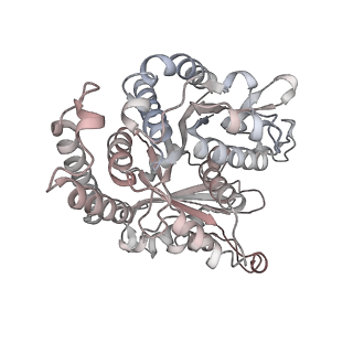 29685_8g2z_FN_v1-0
48-nm doublet microtubule from Tetrahymena thermophila strain CU428